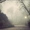 Jogging dans le brouillard - Running in the fog
<br>
Jardin Public, Bordeaux, 18 décembre 2008.
<br>L'arbre sur la droite n'a pas tenu la tempête de janvier 2009.
<br>The tree on the right didn't stand after the january 2009 storm.