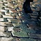 walking (2)...<br>Bordeaux, pavés, pavement, pied, foot, marche