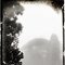 Jardin Public, Bordeaux, décembre 2009<br>brouillard fog  brume mist misty  arbre arbres tree trees morning matin park parc passant marchent herbe grass black and white noir et blanc