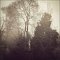 Jardin Public, Bordeaux, 18 décembre 2008<br><br>brouillard fog  brume mist misty lampadaire arbre arbres tree trees morning matin park parc statue  island ile greek grecque bushes buissons