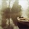 Au Jardin Public<br><br>brouillard fog  brume mist misty arbre arbres tree trees morning matin  park parc barque reflets reflections bark <br>Zenit 11, 50mm Tokina 1.4, unbranded iso 200 film
