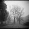 Jardin Public, Bordeaux, Novembre 2009<br>Shot on a Color-flex ( www.camerapedia.org/wiki/Color-flex ) with Efke 100 film<br>brouillard fog  brume mist misty  arbre arbres tree trees morning matin park parc passant marchent herbe grass black and white noir et blanc 127 film