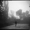 Jardin Public, Bordeaux, Novembre 2009<br>Shot on a Color-flex ( www.camerapedia.org/wiki/Color-flex ) with Efke 100 film<br>brouillard fog  brume mist misty  arbre arbres tree trees morning matin park parc passant marchent herbe grass black and white noir et blanc 127 film