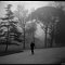 Jardin Public, Bordeaux, Novembre 2009<br>Shot on a Color-flex ( www.camerapedia.org/wiki/Color-flex ) with Efke 100 film<br>brouillard fog  brume mist misty  arbre arbres tree trees morning matin park parc passant marchent herbe grass black and white noir et blanc 127 film